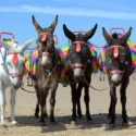 156100 Years of Flying – Blackpool Airport Celebrates Milestone