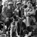 1103The Launch of Radio Wave
