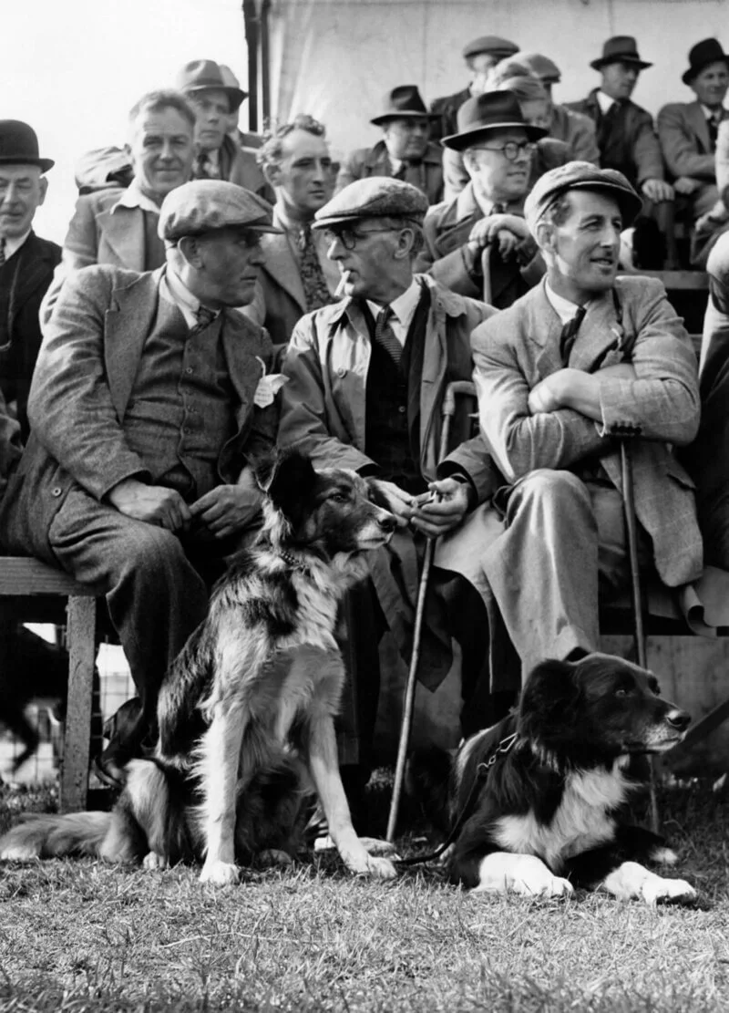 Blackpool Dog Show